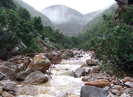 Kloof-water-10-June-2011-028